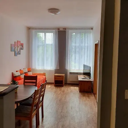 Apartment Ubytovani U Dolni Brany